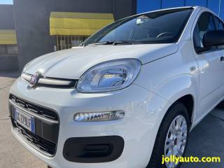 FIAT Panda usata 16