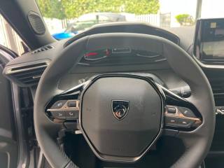 PEUGEOT 2008 usata, con Cronologia tagliandi