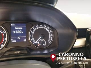 SKODA Fabia usata, con Cruise Control