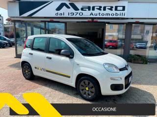 FIAT Panda 1.2 Young
