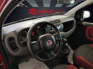 FIAT Panda usata 13