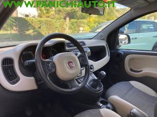 FIAT Panda usata, con Fendinebbia