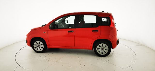 FIAT Panda usata 28