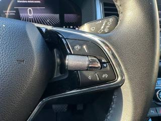 SKODA Kodiaq usata, con Climatizzatore