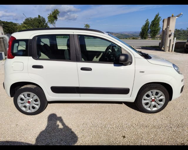 FIAT Panda usata, con Immobilizzatore elettronico