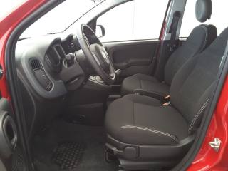 FIAT Panda usata, con Antifurto