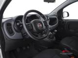 FIAT Panda usata 2