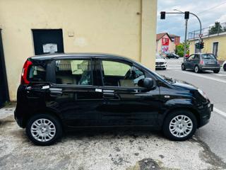 FIAT Panda usata, con Antifurto