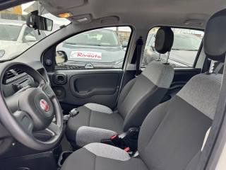 FIAT Panda usata, con Cronologia tagliandi