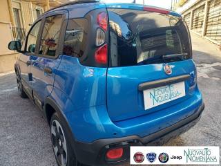 FIAT Panda usata, con Fendinebbia