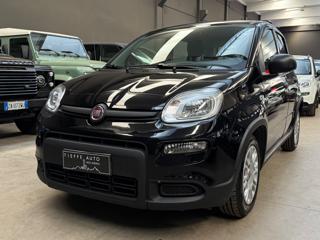 FIAT Panda 1.0 FireFly S&S Hybrid *NO OBBLIGO FINANZIAMENTO*