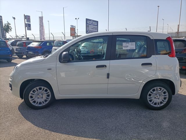 FIAT Panda usata, con Antifurto