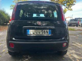 FIAT Panda usata, con Alzacristalli elettrici