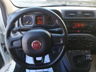 FIAT Panda usata, con Immobilizzatore elettronico