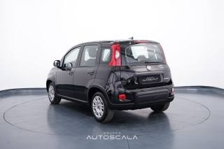 FIAT New Panda usata, con Alzacristalli elettrici