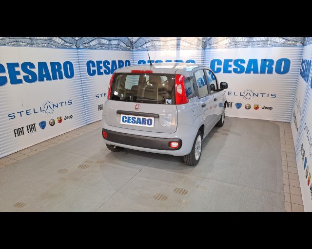FIAT New Panda usata, con Airbag Passeggero