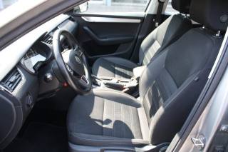 SKODA Octavia usata, con Fendinebbia