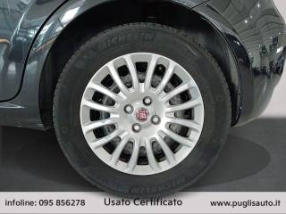 FIAT Punto usata 13