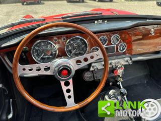 TRIUMPH TR4 usata 11