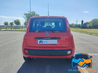 FIAT Panda usata, con Boardcomputer