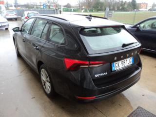 SKODA Octavia usata, con Airbag laterali