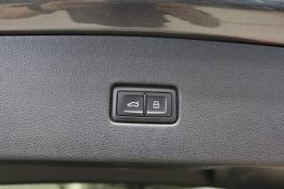 AUDI Q8 usata, con Cruise Control