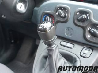 FIAT Panda usata 11