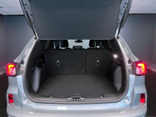 FORD Kuga usata, con Controllo trazione