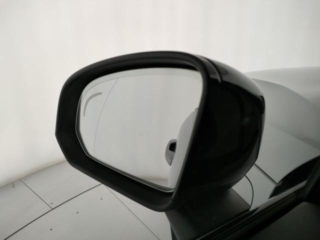 VOLVO XC40 usata, con Cruise Control