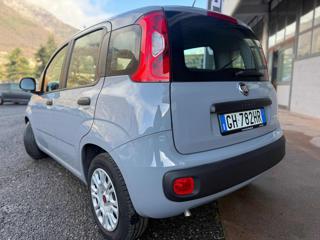 FIAT Panda usata, con Chiusura centralizzata