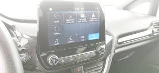 FORD Fiesta usata 62
