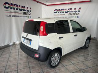 FIAT Panda usata, con Airbag Passeggero