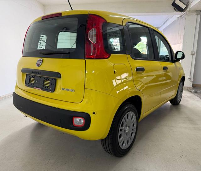 FIAT Panda usata, con Airbag Passeggero