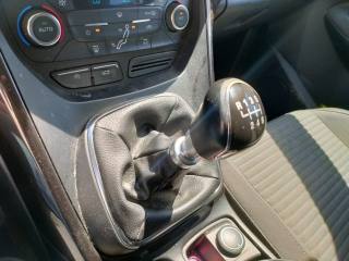 FORD C-Max usata, con Cruise Control