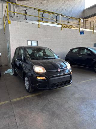 FIAT Panda usata, con Airbag Passeggero