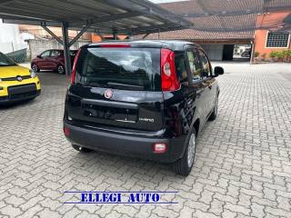 FIAT Panda usata, con Autoradio