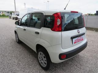 FIAT Panda usata 16
