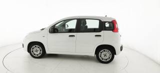 FIAT Panda usata 44