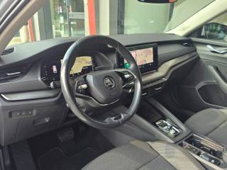 SKODA Octavia usata, con Volante multifunzione