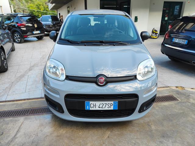 FIAT Panda usata, con Alzacristalli elettrici