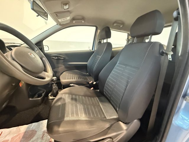 FIAT Punto usata 13