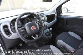 FIAT Panda usata 7