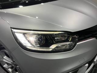 RENAULT Grand Scenic usata, con Cronologia tagliandi