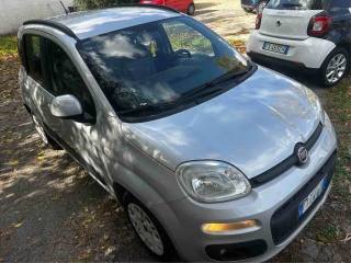 FIAT Panda 1.2 Lounge PERFETTA