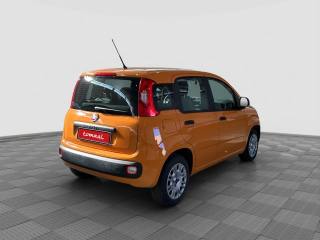 FIAT Panda usata 4