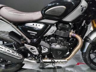 TRIUMPH Scrambler usata 14