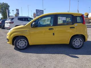 FIAT Panda usata, con Antifurto