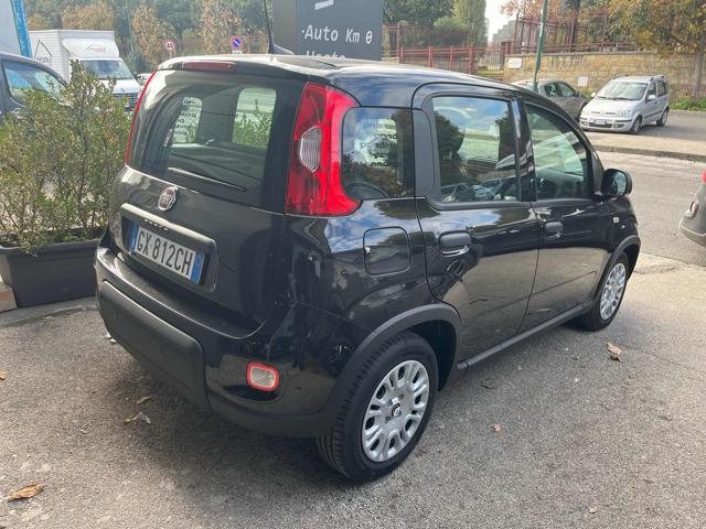 FIAT Panda usata, con Airbag Passeggero
