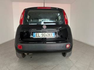 FIAT Panda usata 7