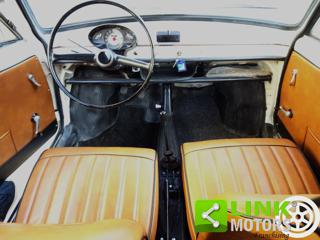 AUTOBIANCHI Bianchina usata 10